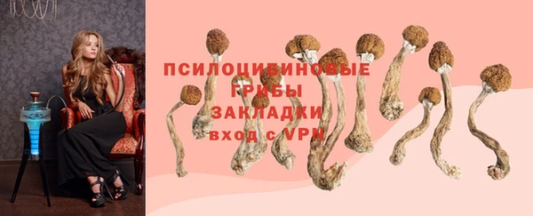 гидра Бежецк