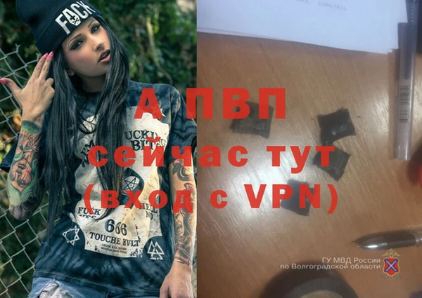 гидра Бежецк
