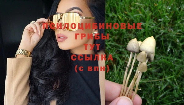 гидра Бежецк